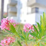 Apartmán Moon Trogir