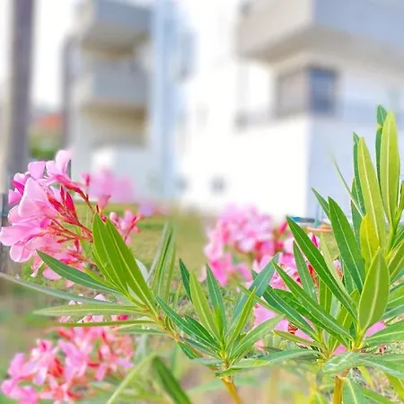 Апартаменты Moon Трогир