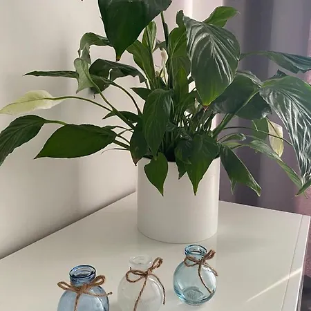 Апартаменты Moon