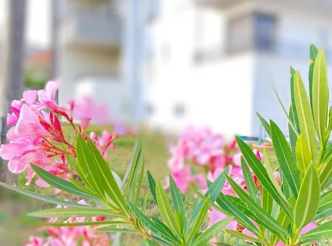 דירה Moon טרוגיר